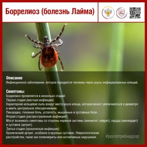 Боррелиоз