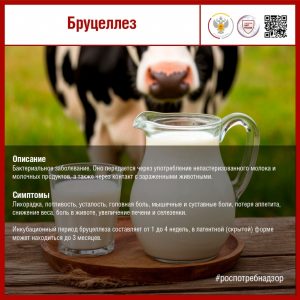 Бруцеллез
