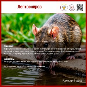 Лептоспироз