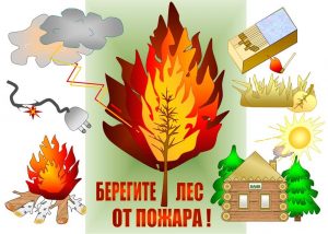 берегите лес от пожара