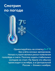 image-16-11-25-07-32-3