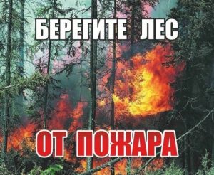 сохр. лес